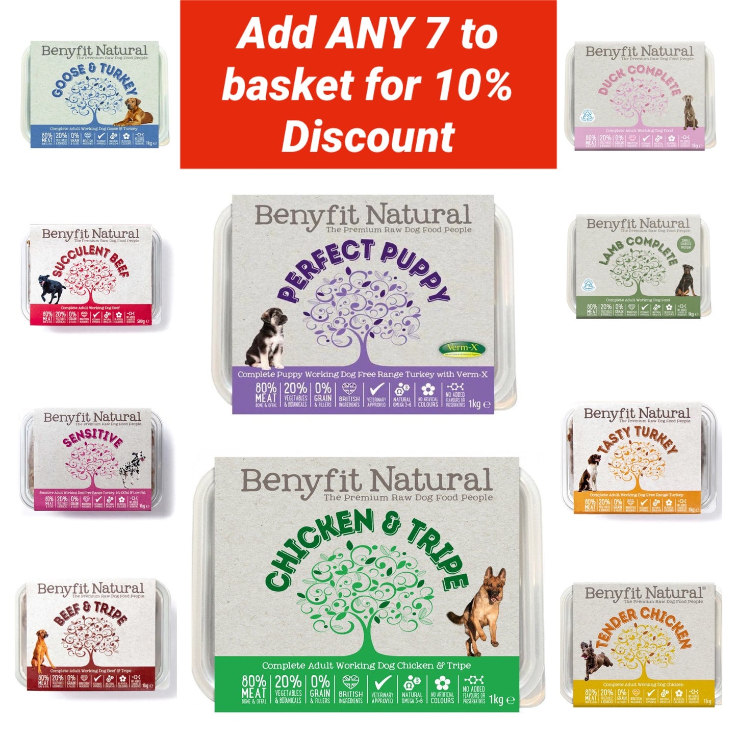 Benyfit Natural Complete ALL Flavours